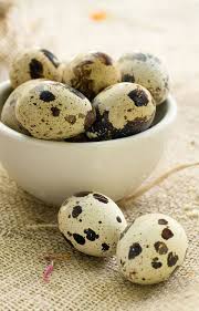 Haustiere kaufen und verkaufen mit. Wachteleier Essen Bio Wachtelfarm Allgau Bio Wachteleier Power Fur Jeden Tag