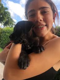 Back to our puppy naming post, we officially adopted Waylon!! Here's all 3  boys together! Thanks for all the likes, comments, and name suggestions!