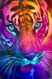 Pin By On Iphone Background Animals Tiger Pictures Big Cats Art