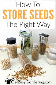 Maybe you would like to learn more about one of these? How To Store Seeds The Right Way