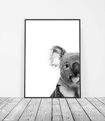 Koala Print Australian Animal Print Koala Art Print Koala Bear Gifts Black And White Print Animal Photography Koala Wall Art Animal Art Australian Animals Unique Art Prints