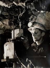 Image result for kutas.jpg