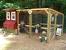 Chicken Coop Inside