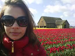 Pontos Turísticos de Seattle #2 Plantação de Tulipas