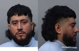 ALFARO LEVI 02/17/2025