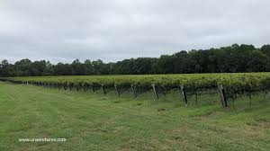 As a top florist in williamsburg, va, each of our floral arrangements get the time and personalized attention they deserve. Unwindwine Williamsburg Winery Wessex Hundred Vineyard Wiliamsburg Va