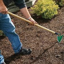 Maybe you would like to learn more about one of these? Furrowing Hoe Digging And Cultivating Lehman S