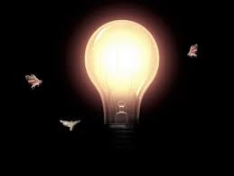 A better choice is a warm white or off white for led spotlights. 6 Tips On Not Attracting Night Flying Insects