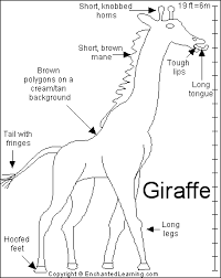 Giraffe Printout Giraffe Giraffe Facts Giraffe Pictures