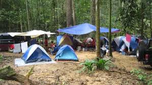 Flora dan fauna hidup di dalam landskap yang luas dan harta karun penemuan dan pengembaraan untuk pencinta alam semula jadi. 10 Tempat Menarik Di Tasik Kenyir Ramai Tidak Tahu Ammboi