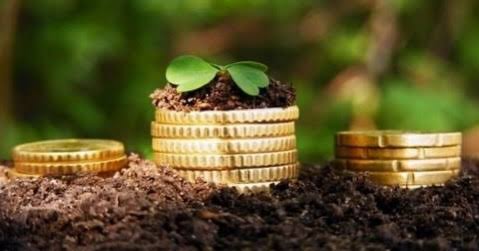 Про затвердження ставок орендної плати за земельні ділянки на території Полонської міської територіальної громади
