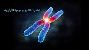 الفرق بين طفرة الجين و طفرة الكروموسومات 2021 أخبار