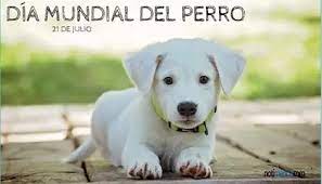 Actualmente existen más de 300 millones de perros en el mundo, de los cuales, según la organización mundial de la salud (oms), se estima que el 70% no tienen un hogar. 21 De Julio Dia Mundial Del Perro Por Que Se Celebra Hoy