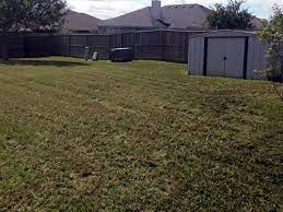 3918 katzman dr, austin, tx. The Lawn Dude Llc Killeen Texas Lawn Care Landscape Services Bell County