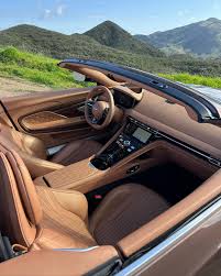 Image result for Copper Chestnut 2012 Aston Martin