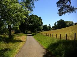 Days out in the Borders : Wooler Common And Earle Circular Walk