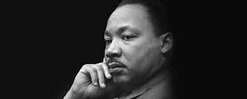 ShelsbyLeoniLaw (@LawLeoni)