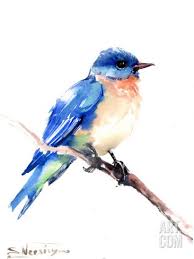 Bluebird 2 Art Print By Suren Nersisyan At Art Com Art Inspiration Drawing Bird Art Original Watercolor Painting