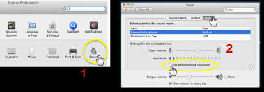Take a look through the list of apps to confirm the one you want to use has access. Adjusting Computer Sound Settings To Reduce Echo