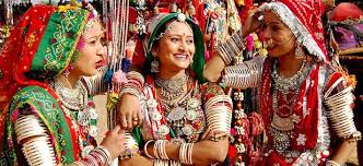 Image result for fair of gujrat images