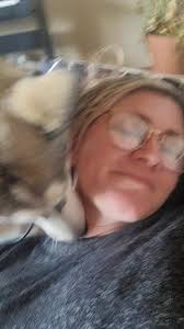 Husky puppy update: , They're learning how to behave in the human house and  how to walk