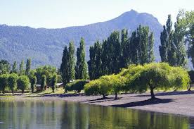 Panguipulli is a city and commune in valdivia province, southern chile, administered by the municipality of panguipulli. Playa Choshuenco Lago Panguipulli Picture Of Lago Panguipulli Tripadvisor
