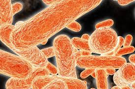 Antibiotika wirken nicht gegen viren. Warum Und Wann Antibiotika