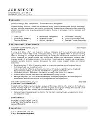 Information technology it resume tips and advice. Business Resume Sample
