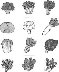 ひざのストレッチや膝の構造 トレーニングや野菜のイラストを描きました イラスト イラストレーター トレーニング