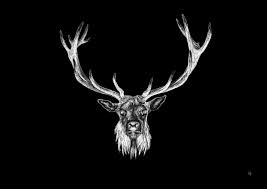Deer stags 902 collection men size 10.5 m sphere brown slip on loafers shoes s7. Majestic Red Deer Stag On Black Traveling Pencils Drawings Illustration Animals Birds Fish Deer Artpal