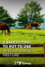7 Tips To Keep Your Horse Safe In The Pasture Horses Horse Care Horse Health