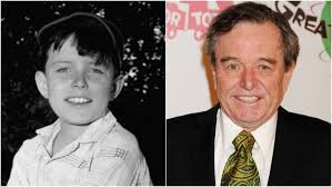 Gerald Patrick "Jerry" Mathers (June 2, 1948) is 73 years old today!  Mathers is best known for his role in the television sitcom series Leave It  to Beaver (1957–1963), in which he