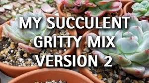 The mix itself is composed of. My Succulent Gritty Soil Mix Version 2 Youtube