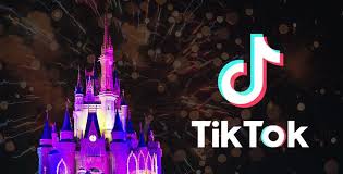 We Love Watching Tiktoks Here Are Some Of The Disney Parks Inspired Ones We Think Are The Best In 2020 Disney Intro Disney World Resorts Disney World