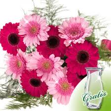 Have your arrangement sent throughout berlin, germany and 9 european countries or collect your flowers. Flower Bouquet With 5 Rose Germini 5 Pink Germini With A Pink Ribbon And Greens With A Package Of Flo Flowers Bouquet Order Flowers Online Flower Delivery Uk