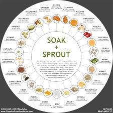 soak sprout chart clean lean revolution