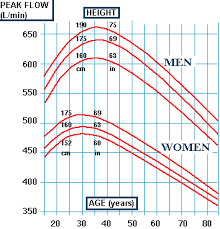 peak flow reading chart peak flow meter chart children