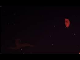 Last night's blood moon was beautiful alright. Terraria Parte 10 Primera Luna De Sangre Youtube