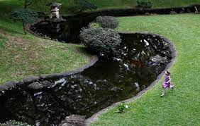 Natural Beauty Honolulu Star Advertiser