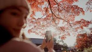 【AUTUMN】myyamagata