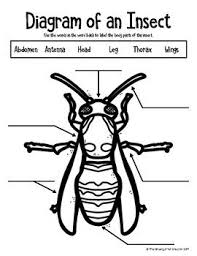 I have been a nurse since 1997. Pin On Insects
