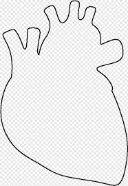 Check spelling or type a new query. Human Heart Free Icon Library