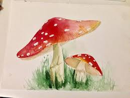 Watercolor Red Mushrooms Muhomory Mushroom Drawing Mushroom Art Watercolor Art