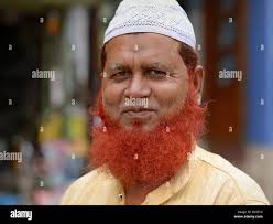 Orange beard hi-res stock photography and images