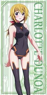 Check spelling or type a new query. Anime Infinite Stratos