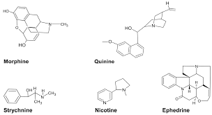 Image result for Hirpicium bechuanense