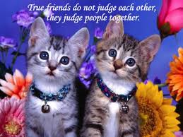 Image result for beautiful friendships quotes