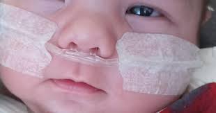 Shane Matthew Barton Jr.