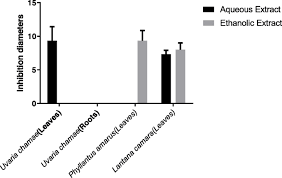 Image result for Uvaria tanzaniae