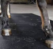American Stalls: Interlocking Horse Stall Mats for Safety